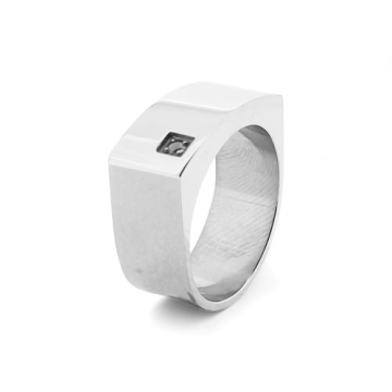 Anillo de Acero, zirconias
