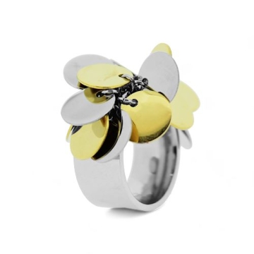 Anillo de Acero, dos tonos