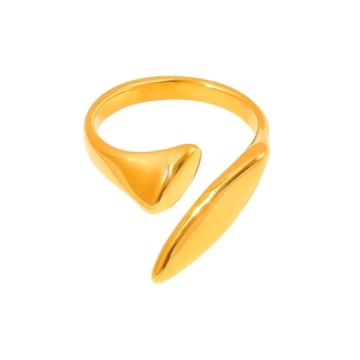 Anillo de Acero