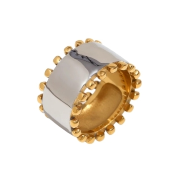 Anillo de Acero