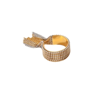 Anillo de Acero