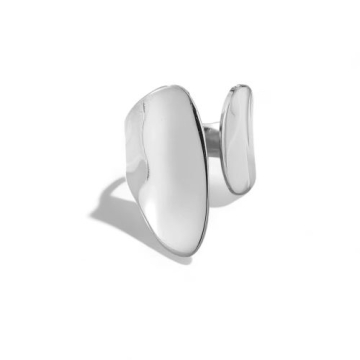 Anillo de Acero
