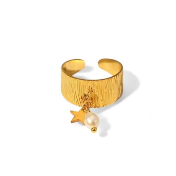 Anillo de Acero