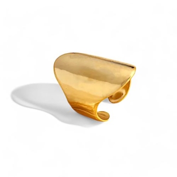 Anillo de Acero