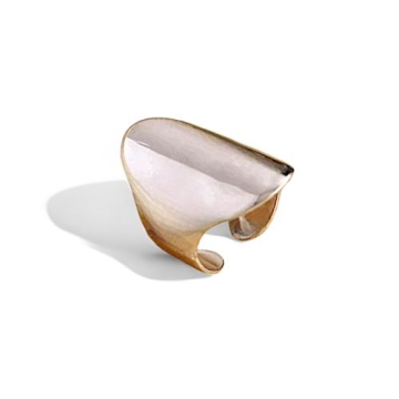 Anillo de Acero