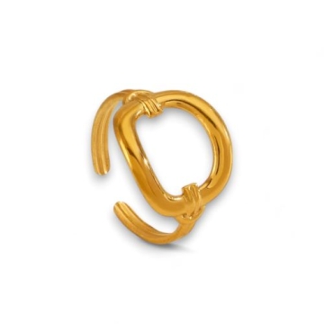 Anillo de Acero