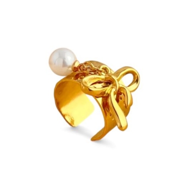Anillo de Acero