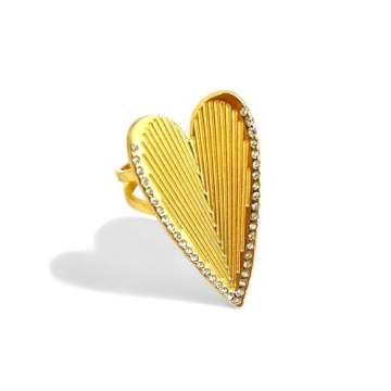 Anillo de Acero