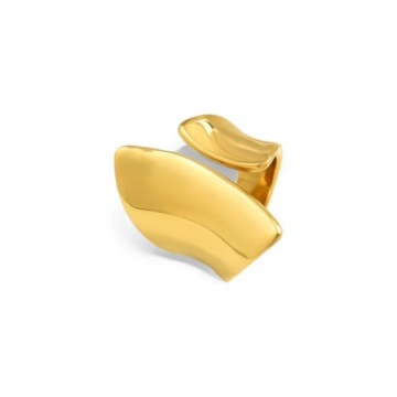 Anillo de Acero