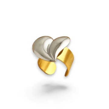 Anillo de Acero