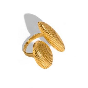 Anillo de Acero