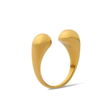Anillo de Acero