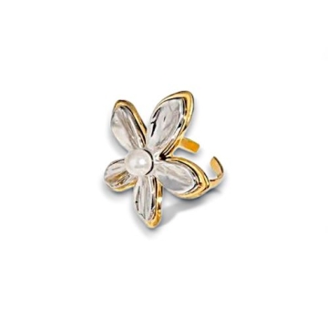 Anillo de Acero