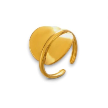 Anillo de Acero