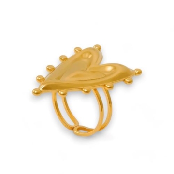 Anillo de Acero
