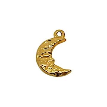 Charm o Dije de luna