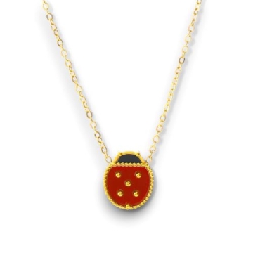 Collar de Acero