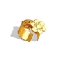 Anillo de Acero thumbnail