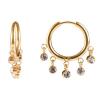 Category Charm Hoops image